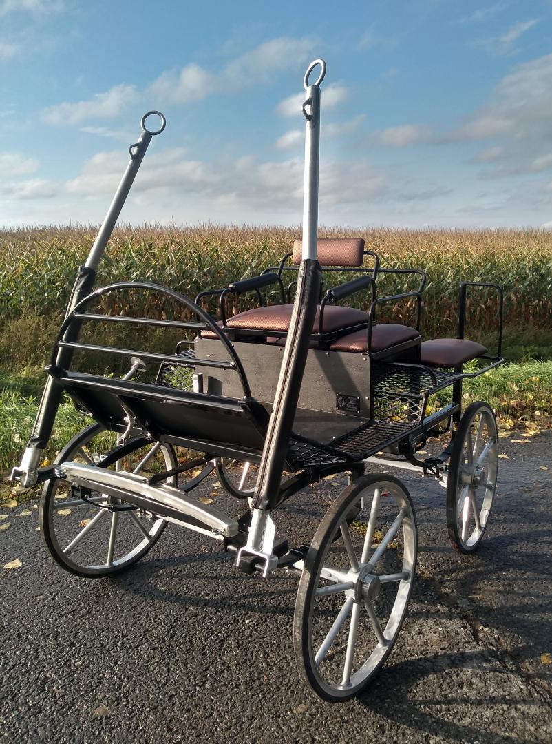 Voiture d’attelage chevaux – Sainte-Cécile-de-Lévrard