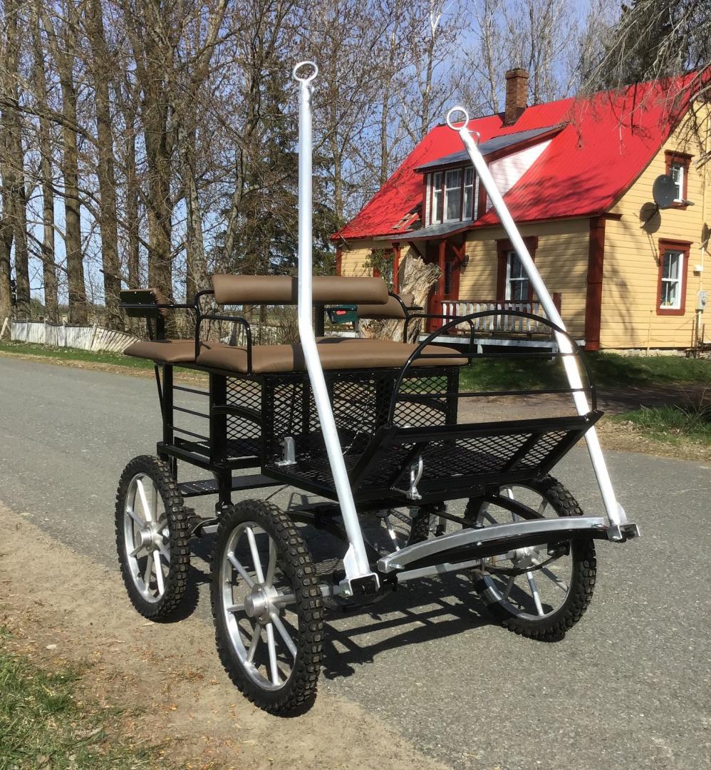 Voiture d’attelage chevaux – Sainte-Cécile-de-Lévrard