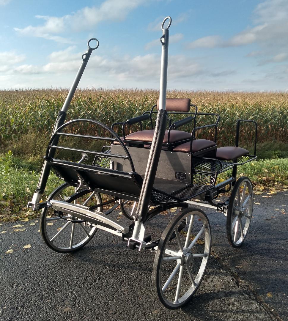 Horse-drawn carriage - Sainte-Cécile-de-Lévrard